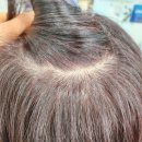 천연염색 잘하는 미용실 컬러앤하우스 처인구점