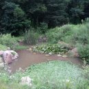 일진농장 이미지