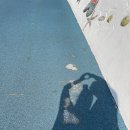 신신상회 이미지