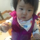 시은 푸드 이미지