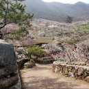 태봉공인중개사사무소 이미지