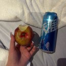 쿵푸팬더 훠궈 | [베이징 맛집 모음🇨🇳]_현지에서 찾은 베이징 맛집 추천/후기