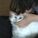 원 동물약국 이미지