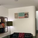 골드shot 이미지