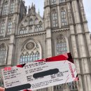 Blossom for you 이미지