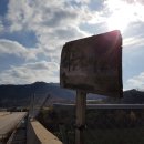 장수하늘소농장 이미지