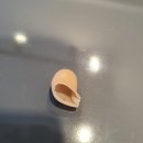 탑 독일 보청기 이미지