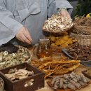 자연생명대체의학 이미지