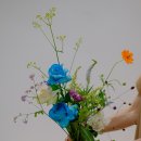 handtied bouquet 이미지