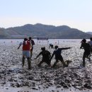 벌교천변길1 이미지