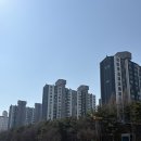 진흥아파트_서 | 영통/망포역 벽적골 롯데캐슬 9단지 아파트 임장 기록