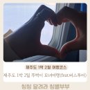 삼동경로식당 | 제주도 1박 2일 뚜벅이 모녀여행 후기 (feat.제주도 버스투어)