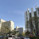 까치세탁소 | 분당 구미동 까치마을 2단지(주공) 임장ㅣ실거주자 후기