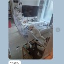 크로바마트정육 | 행복한 나날들 편
