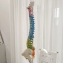 유성실버복지센터 3층 | [대전 재활pt 리커버바른몸센터] 대전비대칭관리·대전허리재활 3D분석 실화인가요?