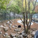 웅담농장 이미지