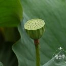 다산1리 이미지