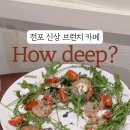 하우딥 이미지