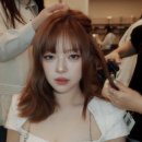 정연