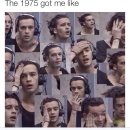 THE1975 이미지