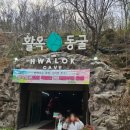 옥석농장 | [충주 여행] 아이와 가볼만한 곳: 100년 역사의 숨결, '활옥동굴' 완벽 정복기