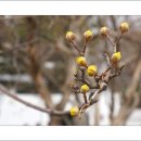 사진공원 - 사상구 사상로 208-1 | 사진공원