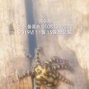 여수앞바다 - 양주시 | 여수앞바다