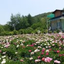 가평해피하우스 이미지