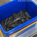 (주)탐라수산 이미지