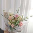 메종 플로이