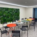 크로스핏 벨즈 이미지