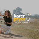 내강아지 이미지