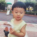 훈이호떡