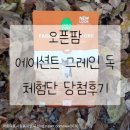 팜독 | 강아지사료추천, 오픈팜 에이션트 그레인 독 체험단 당첨후기♡ (히동이와야옹이네)