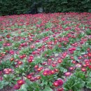 울산광역시 동구보건소 건강증진센터 이미지