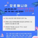 D.K. MOTORS 이미지