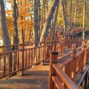 선학산전망대 이미지