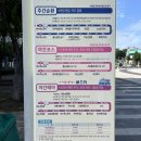 야간테마코스(시간을달리는버스커) | 여수낭만버스 예약 정보 및 야간테마 (시간을 달리는 버스커) 야경 투어 후기