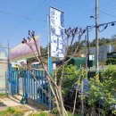 성고농장 이미지