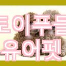 유어펫 일산본점 이미지