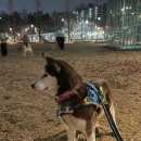 보경쉼터 이미지