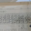 제두염전 이미지