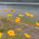 산서농협 앞 Daum카페