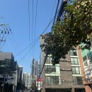 블르바드 | 청담마사지 뷰티블르바드 전신관리 전신슬리밍 후기