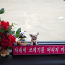 한울여행사