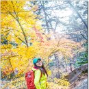 금강공원1 이미지