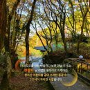 *****한라산 단풍-억새 1박3일*****23년 10월27일(금)-10월29일(일)/1박3일 이미지