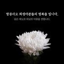 왕5% PC | <3월 여자끼리 대만 여행> 대만 여행 준비의 모든 것 A to Z