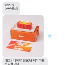 덩크트레이