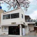 부산터널 1 | 부산 봄 데이트 성지! 분홍빛 벚꽃 터널부터 감성 카페까지 온천천 완전 정복